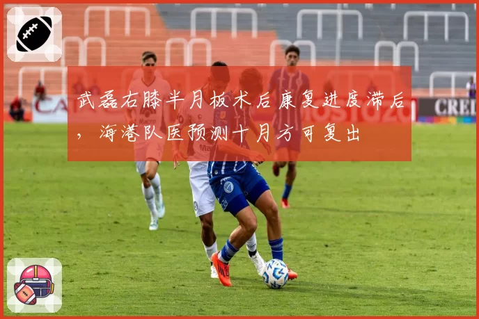 武磊右膝半月板术后康复进度滞后，海港队医预测十月方可复出