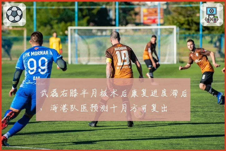 武磊右膝半月板术后康复进度滞后，海港队医预测十月方可复出