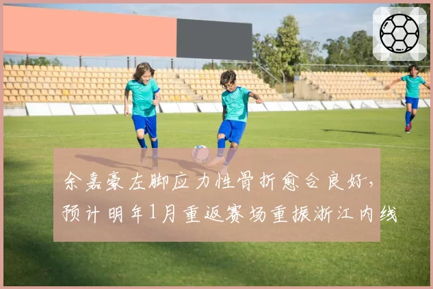 余嘉豪左脚应力性骨折愈合良好,预计明年1月重返赛场重振浙江内线